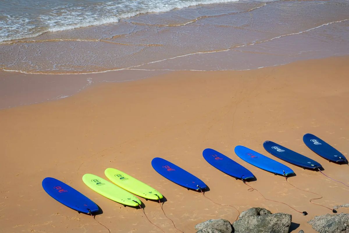 Tavole da surf morbide blu e verde lime allineate sulla sabbia, in riva al mare