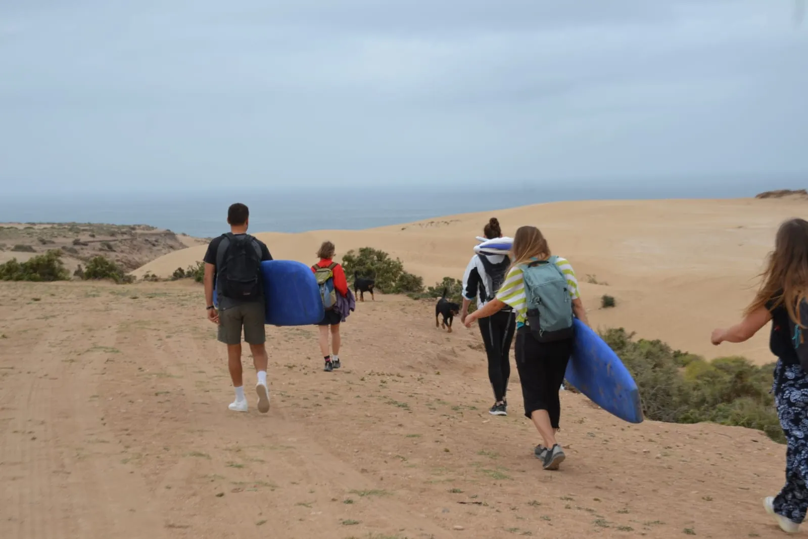 Surfboards on the sand representing a tailored séjour builder near Taghazout