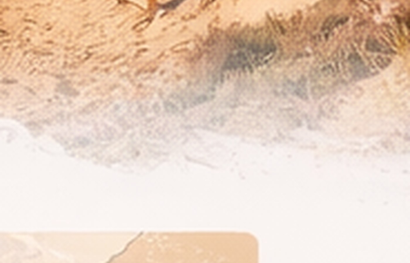 Flüge nach Agadir ab Frankfurt (für Taghazout)