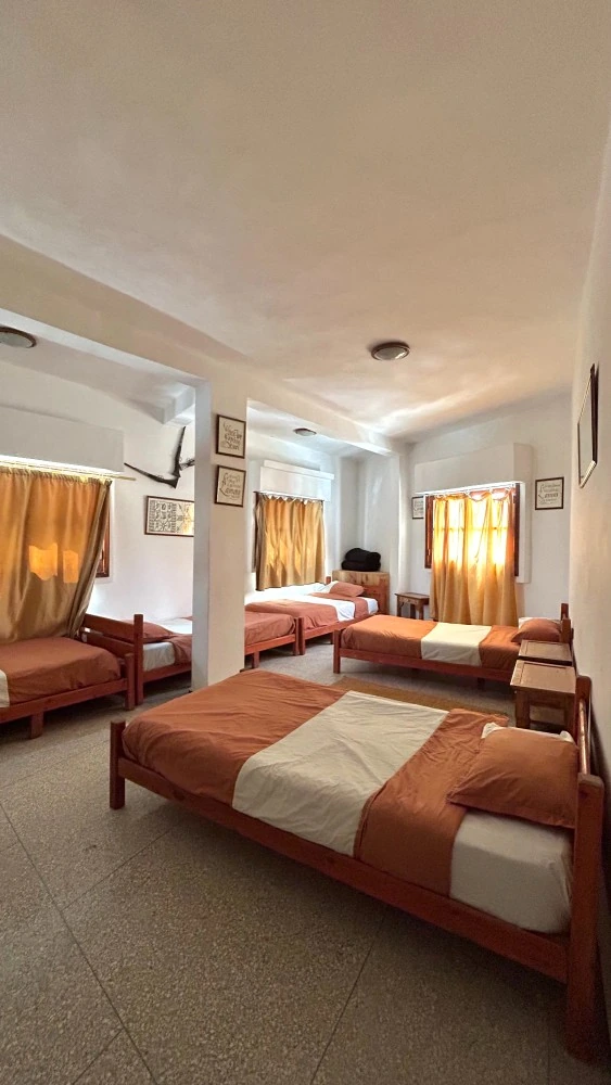 Standard · male · 5 beds